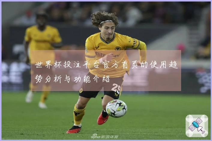 世界杯投注平台官方首页的使用趋势分析与功能介绍