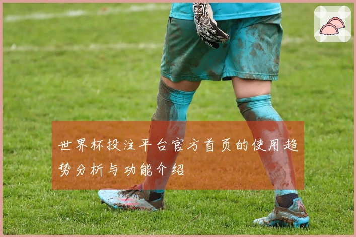 世界杯投注平台官方首页的使用趋势分析与功能介绍