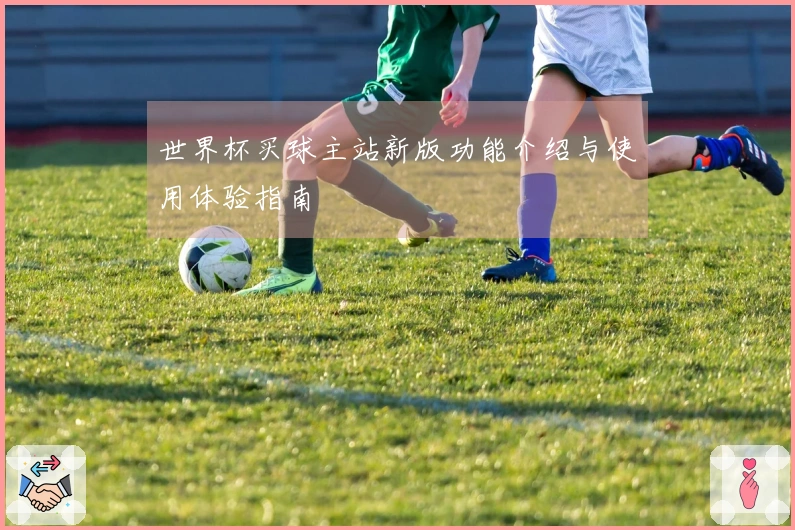世界杯买球主站新版功能介绍与使用体验指南