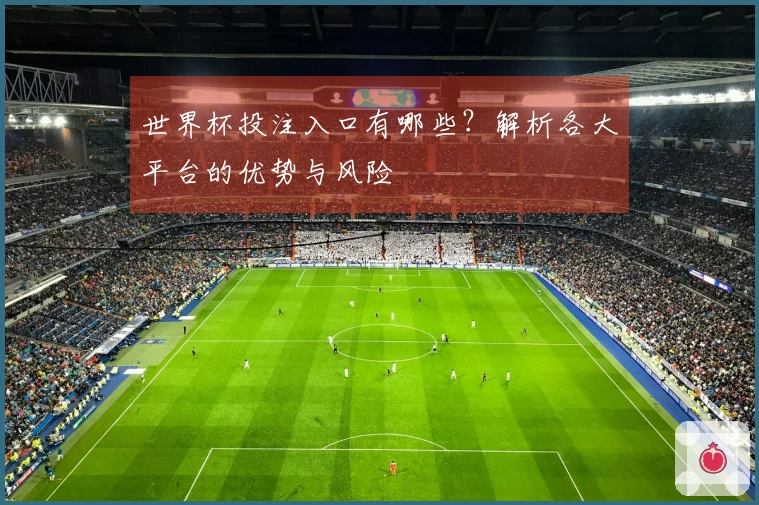 世界杯投注入口有哪些？解析各大平台的优势与风险