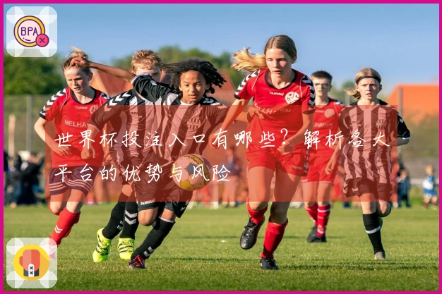 世界杯投注入口有哪些？解析各大平台的优势与风险