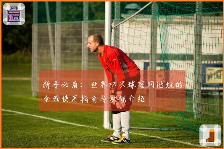 新手必看:世界杯买球官网地址的全面使用指南与功能介绍
