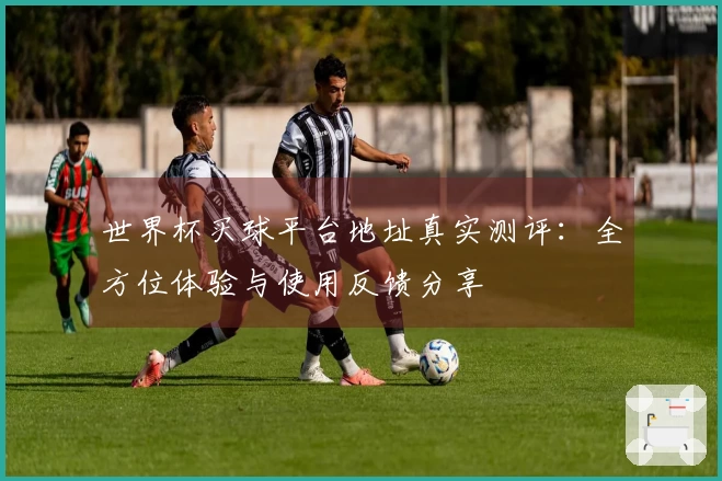 世界杯买球平台地址真实测评：全方位体验与使用反馈分享