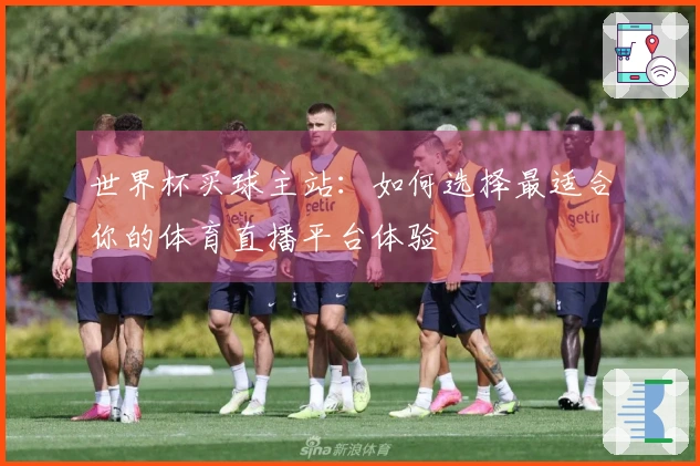 世界杯买球主站：如何选择最适合你的体育直播平台体验