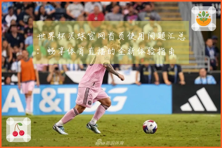 世界杯买球官网首页使用问题汇总：畅享体育直播的全新体验指南