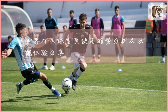 世界杯买球首页使用趋势分析及功能体验分享