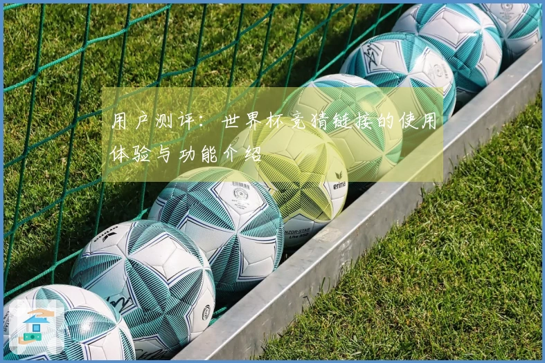 用户测评：世界杯竞猜链接的使用体验与功能介绍