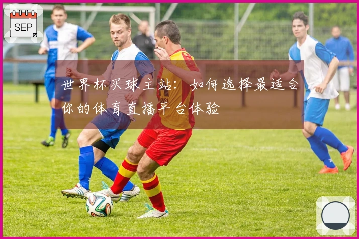 世界杯买球主站：如何选择最适合你的体育直播平台体验