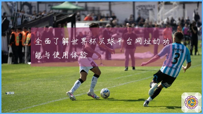 全面了解世界杯买球平台网址的功能与使用体验