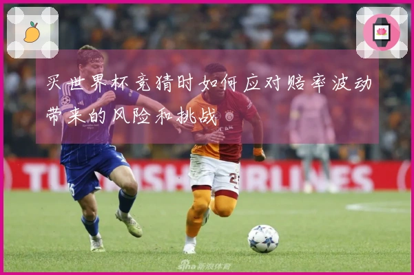 买世界杯竞猜时如何应对赔率波动带来的风险和挑战