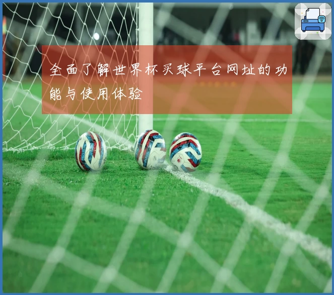 全面了解世界杯买球平台网址的功能与使用体验