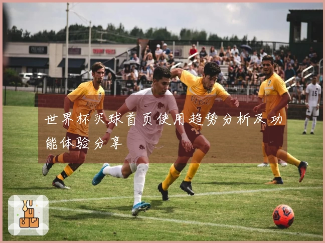 世界杯买球首页使用趋势分析及功能体验分享