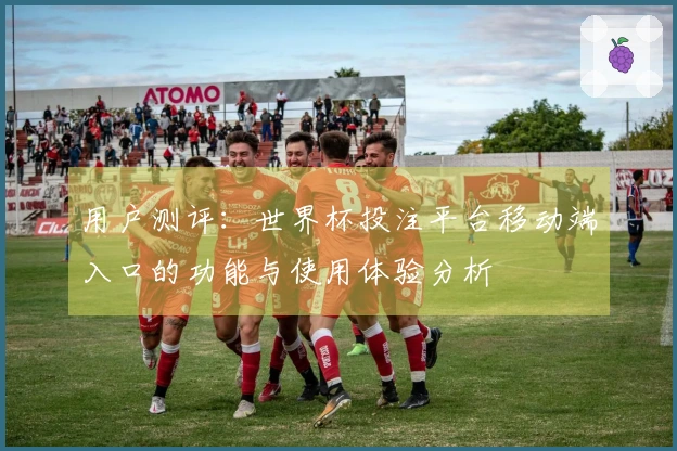 用户测评：世界杯投注平台移动端入口的功能与使用体验分析