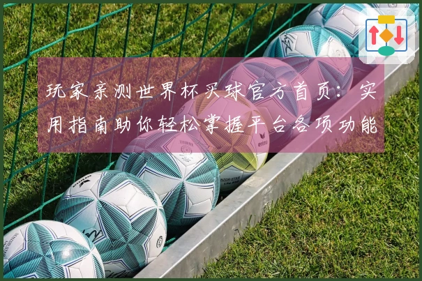 玩家亲测世界杯买球官方首页：实用指南助你轻松掌握平台各项功能